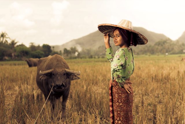 Melihat Keberagaman Budaya Indonesia Melalui Virtual Tour